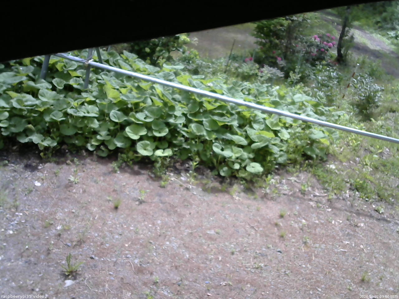 長野県菅平高原 ゆたか山荘 駐車場 2026/05/22 09:00