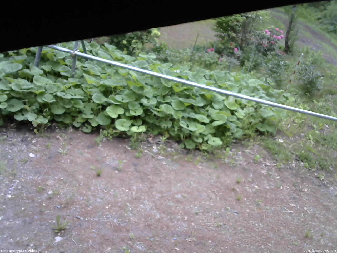 長野県菅平高原 ゆたか山荘 駐車場 2026/05/22 09:45