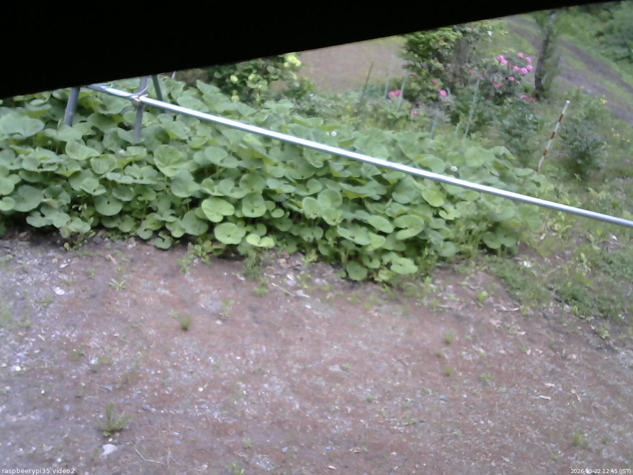 長野県菅平高原 ゆたか山荘 駐車場 2026/05/22 12:45