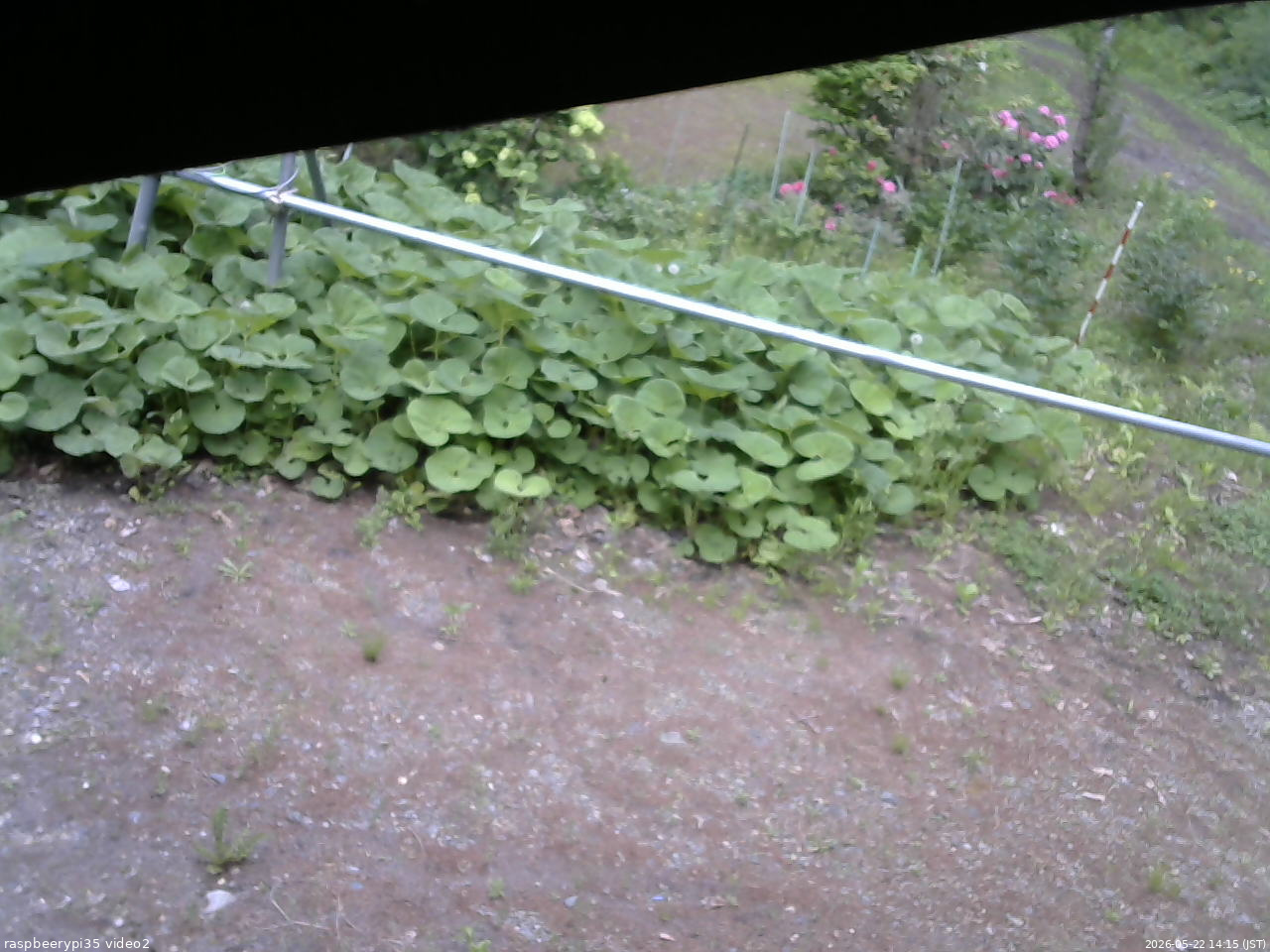 長野県菅平高原 ゆたか山荘 駐車場 2026/05/22 14:15