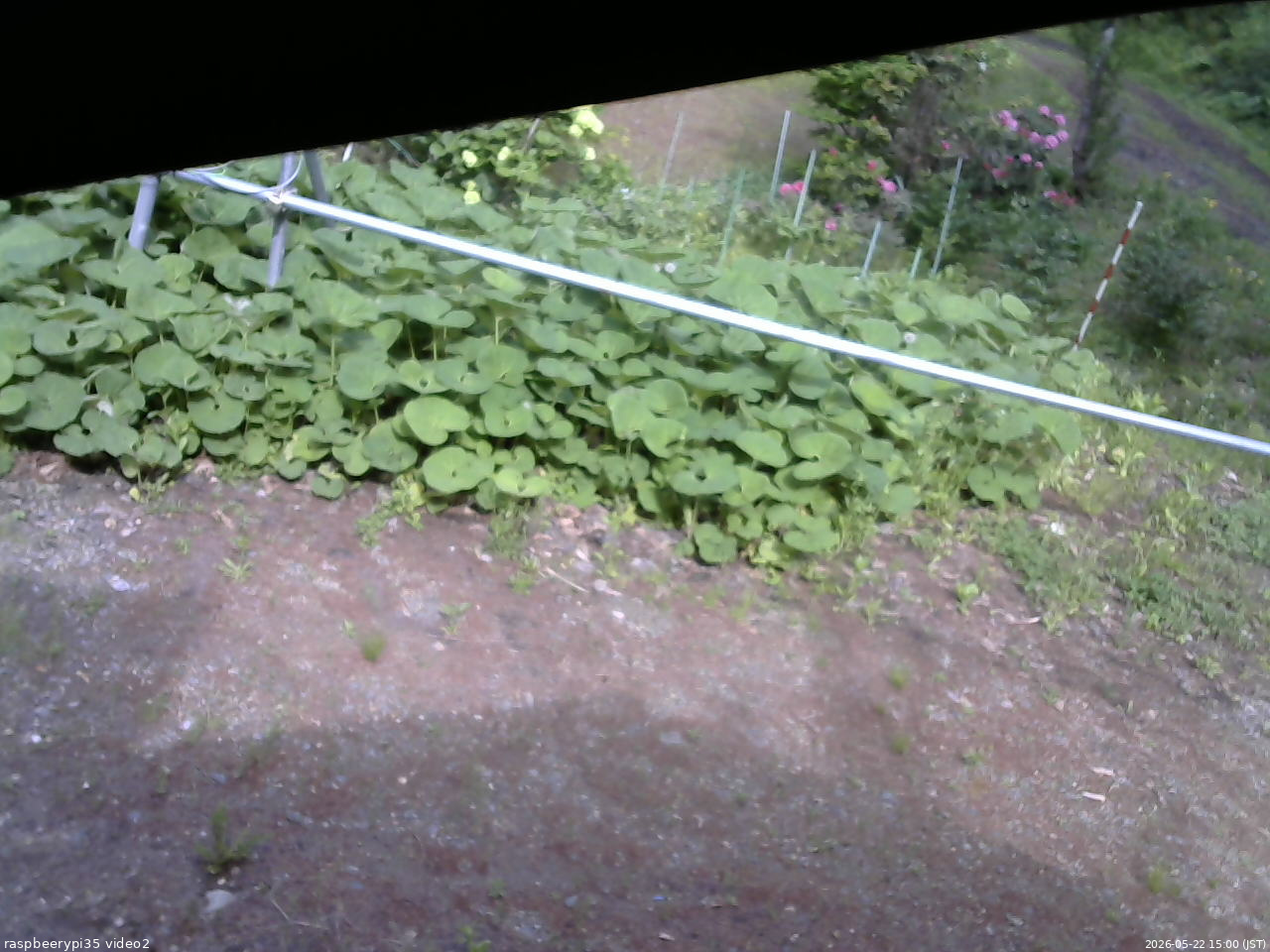 長野県菅平高原 ゆたか山荘 駐車場 2026/05/22 15:00