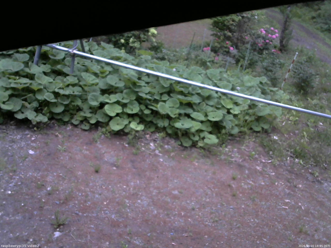 長野県菅平高原 ゆたか山荘 駐車場 2026/05/22 18:45