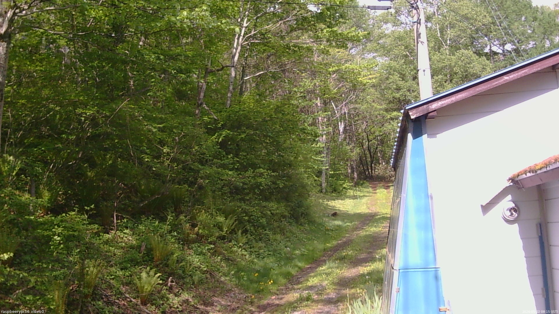 長野県菅平高原 ゆたか山荘 ゆたか山荘 2026/05/22 08:15