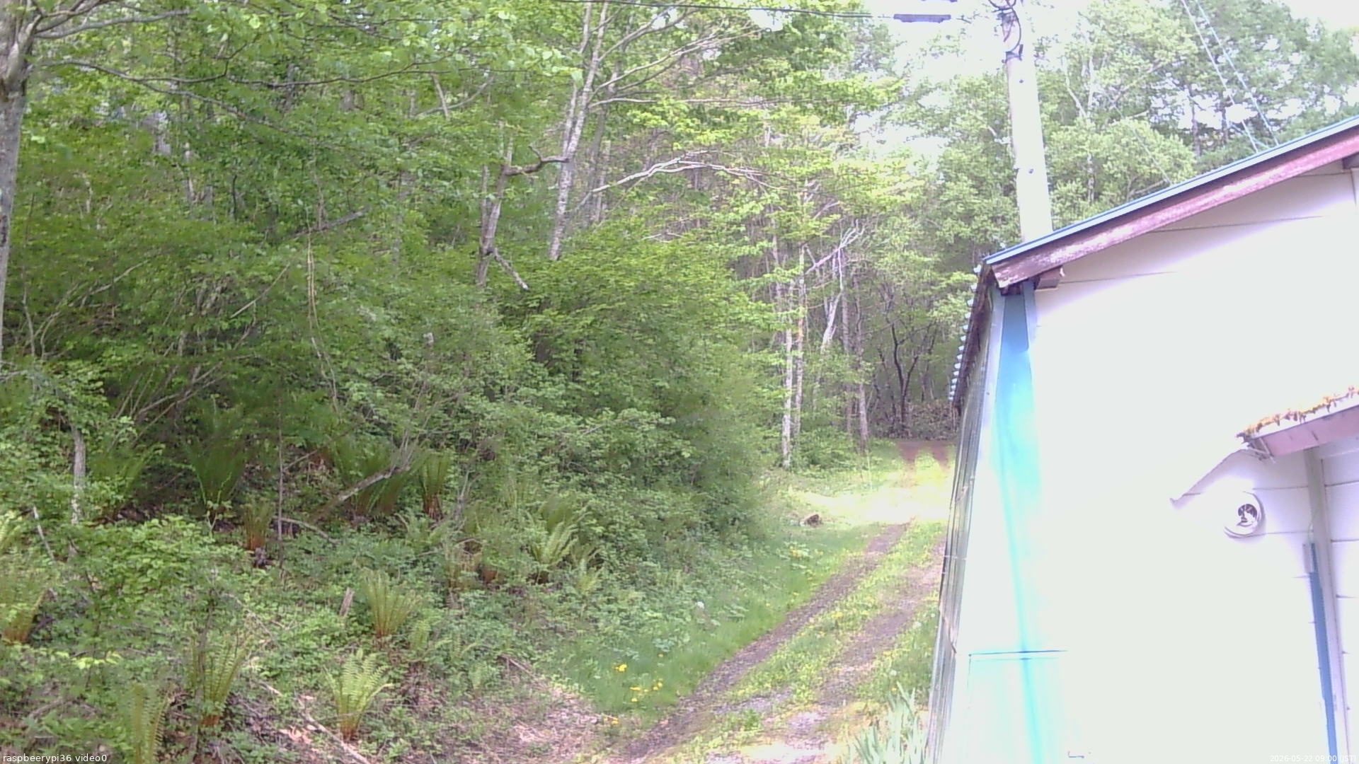 長野県菅平高原 ゆたか山荘 ゆたか山荘 2026/05/22 09:00