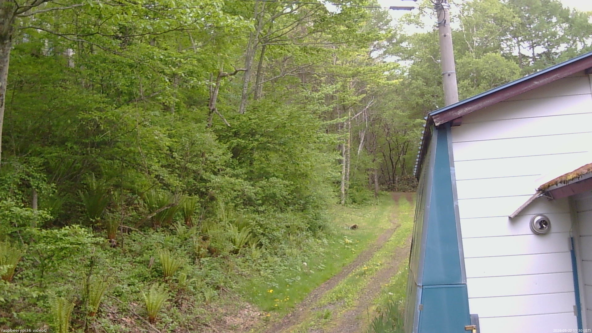 長野県菅平高原 ゆたか山荘 ゆたか山荘 2026/05/22 11:30