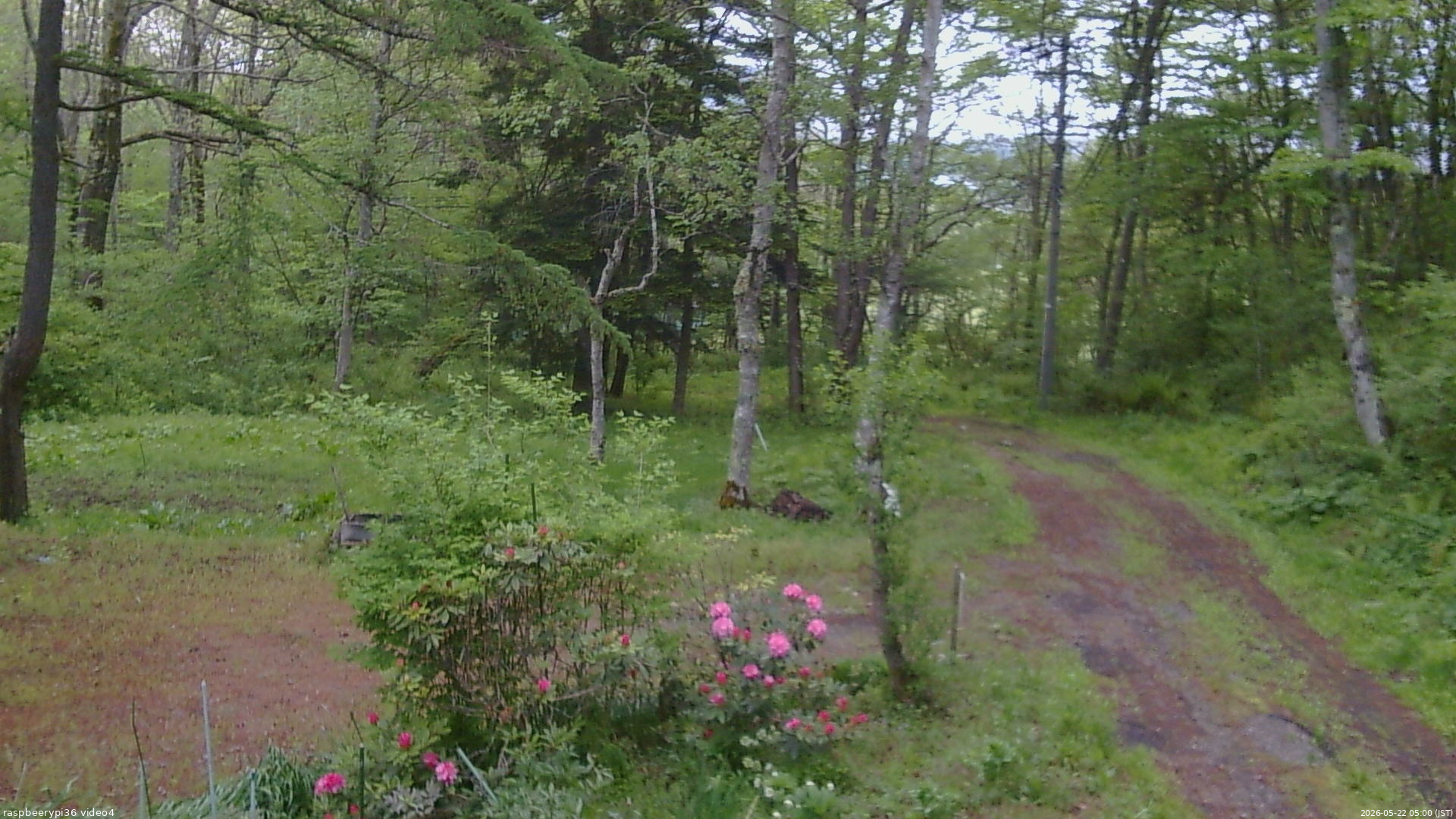 長野県菅平高原 ゆたか山荘 坂上 2026/05/22 05:00