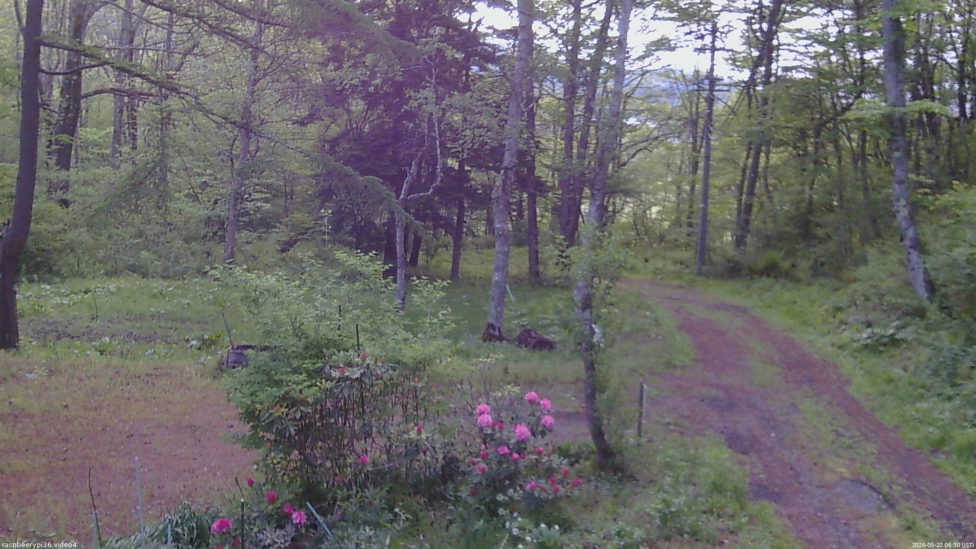 長野県菅平高原 ゆたか山荘 坂上 2026/05/22 06:30