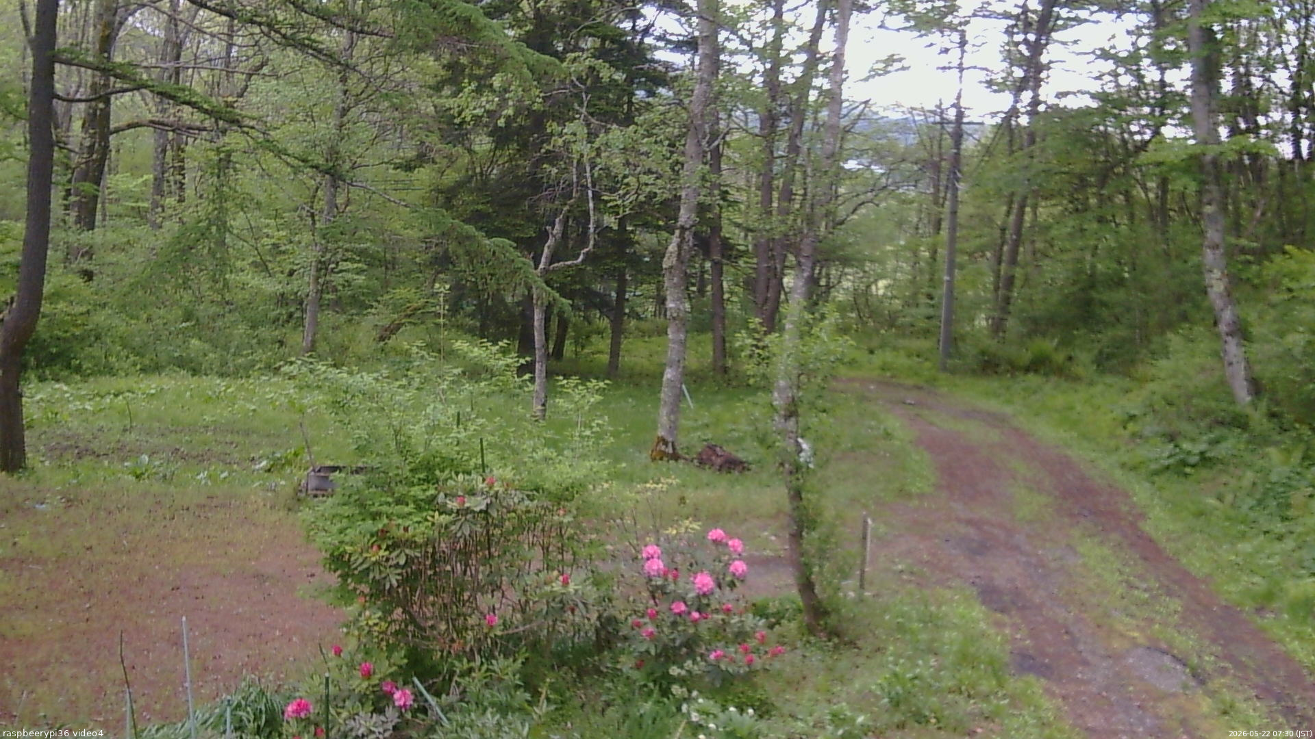 長野県菅平高原 ゆたか山荘 坂上 2026/05/22 07:30
