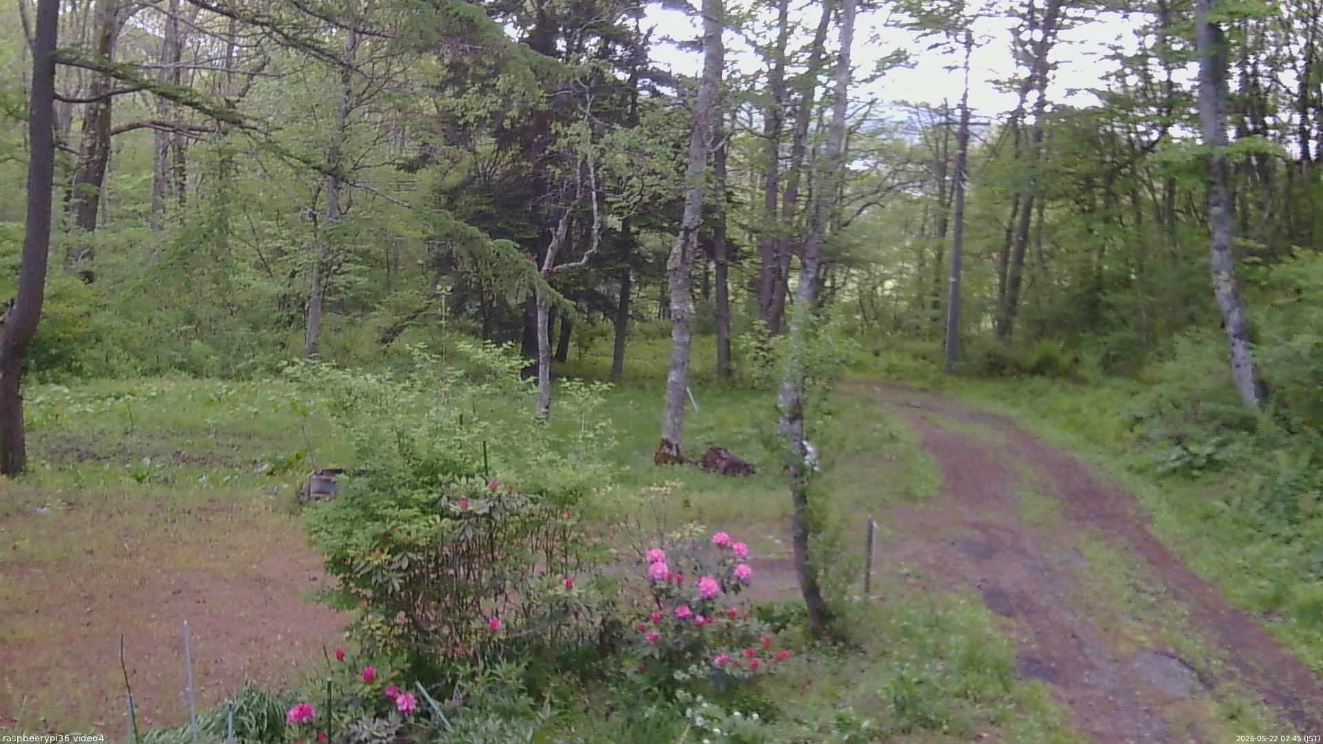 長野県菅平高原 ゆたか山荘 坂上 2026/05/22 07:45