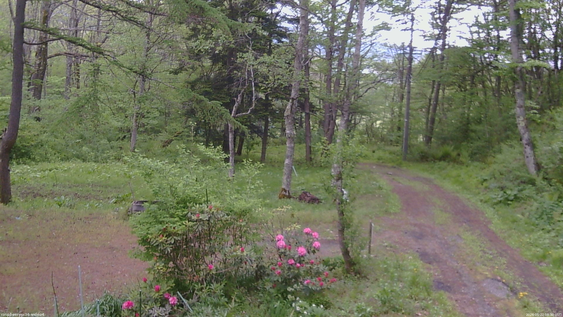 長野県菅平高原 ゆたか山荘 坂上 2026/05/22 08:30