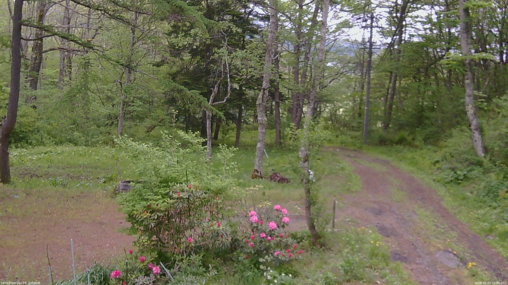 長野県菅平高原 ゆたか山荘 坂上 2026/05/22 10:00