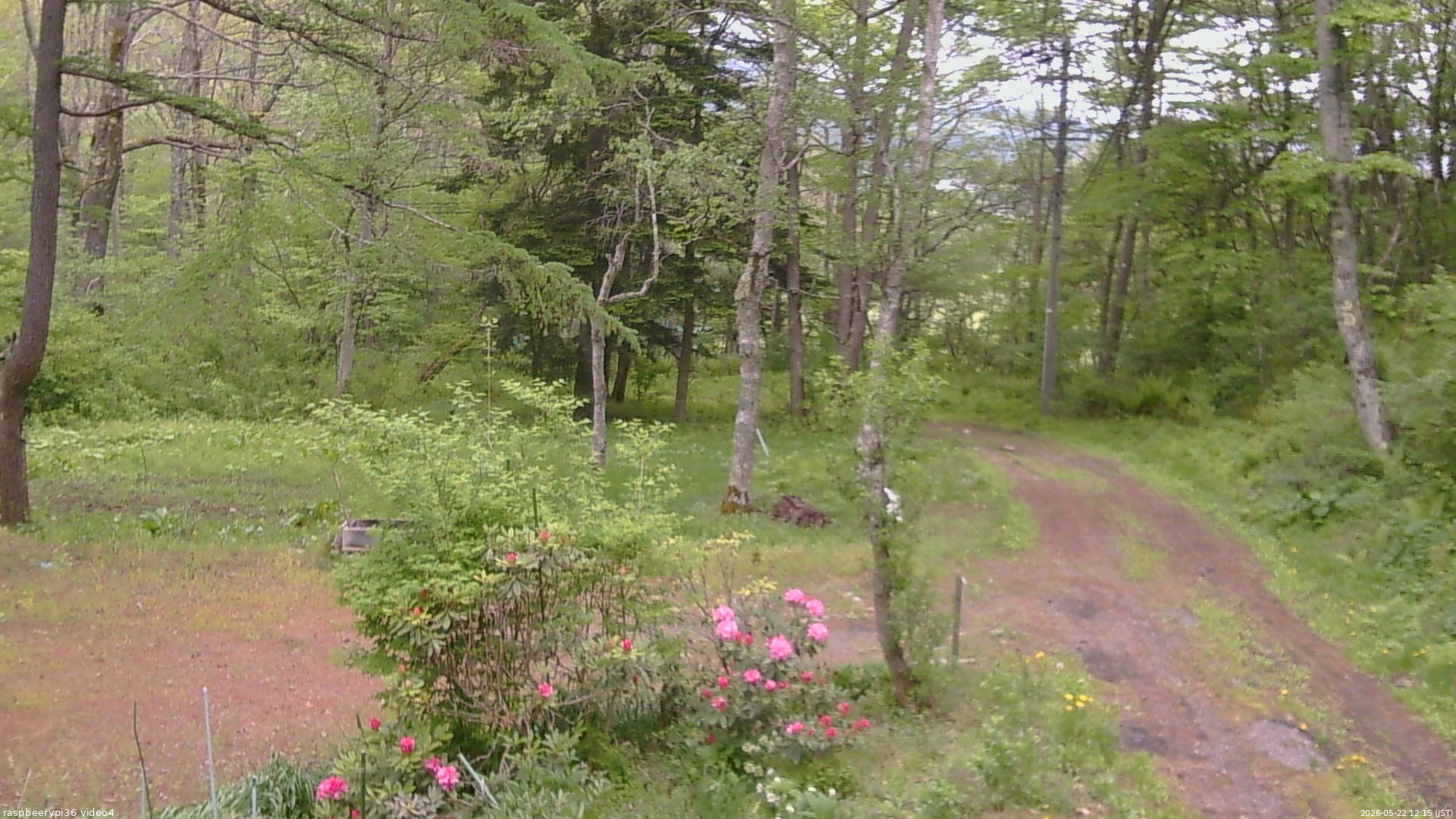 長野県菅平高原 ゆたか山荘 坂上 2026/05/22 12:15