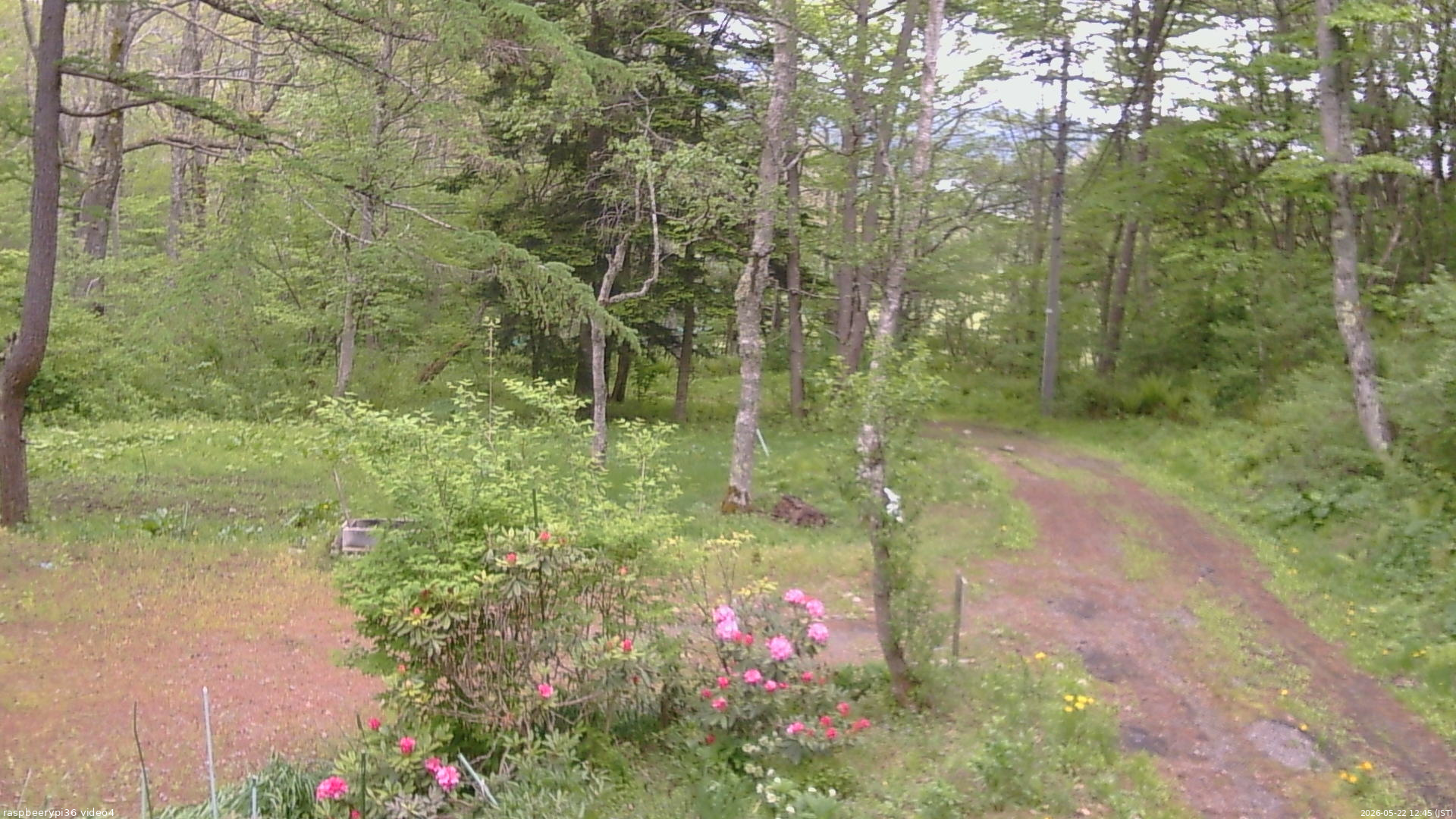 長野県菅平高原 ゆたか山荘 坂上 2026/05/22 12:45