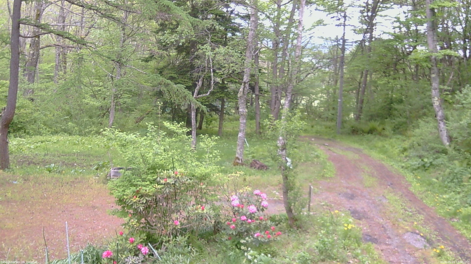 長野県菅平高原 ゆたか山荘 坂上 2026/05/22 13:00