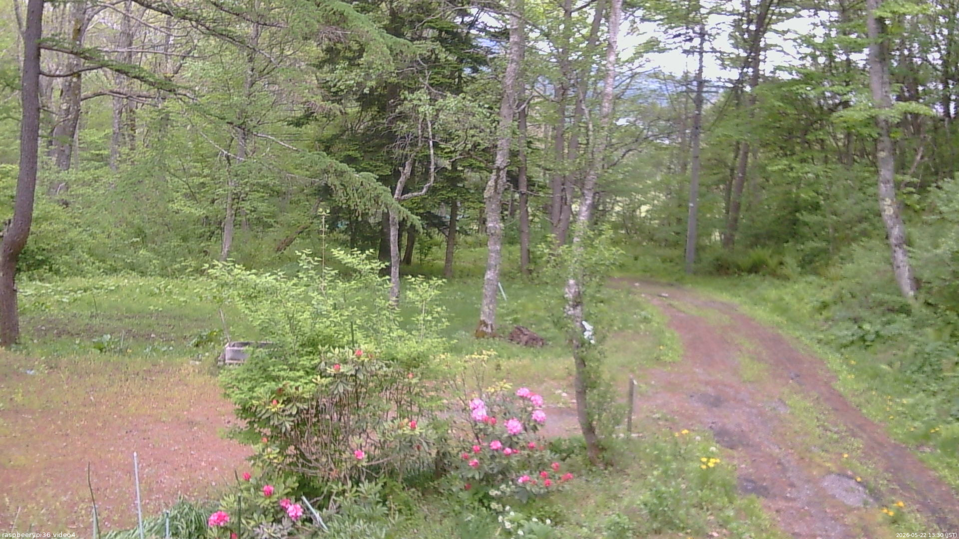長野県菅平高原 ゆたか山荘 坂上 2026/05/22 13:30