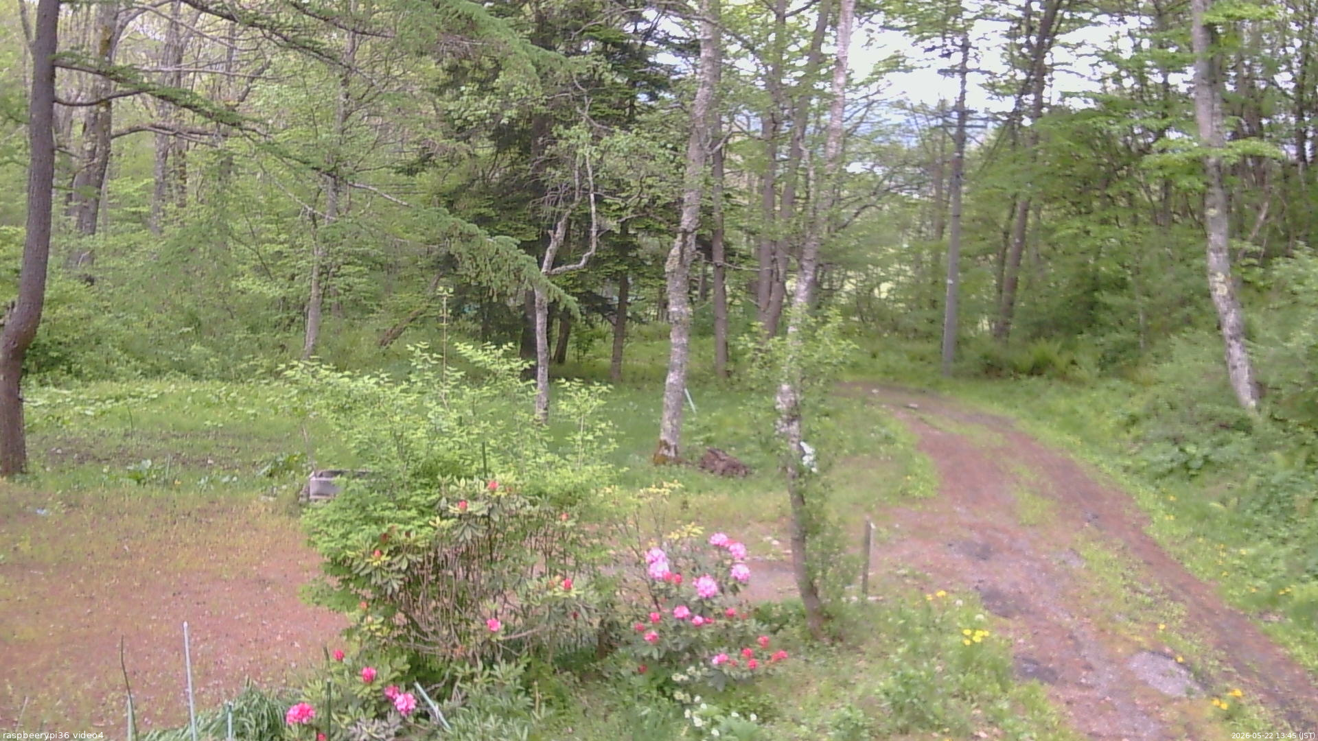 長野県菅平高原 ゆたか山荘 坂上 2026/05/22 13:45