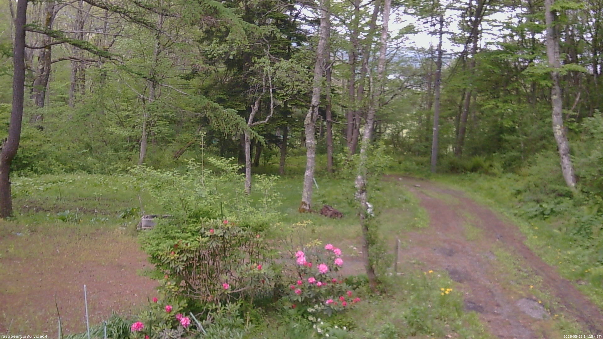 長野県菅平高原 ゆたか山荘 坂上 2026/05/22 14:15