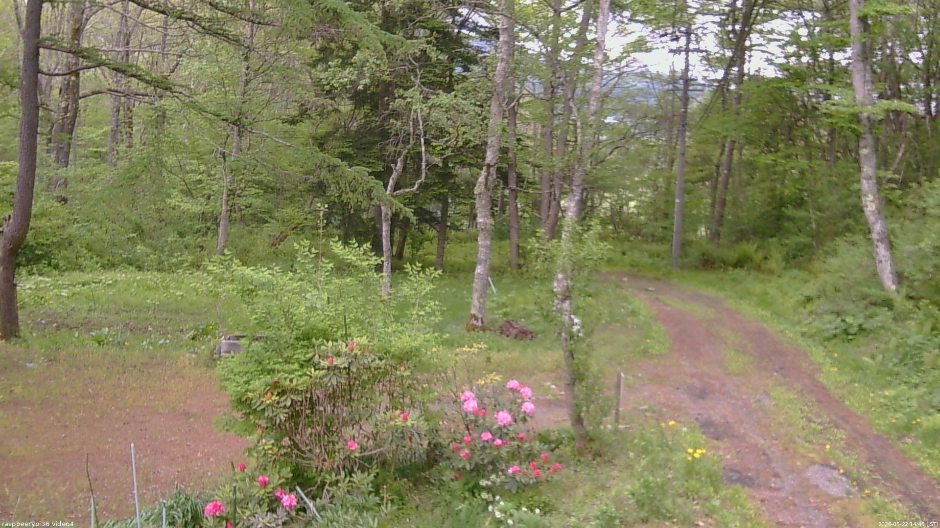長野県菅平高原 ゆたか山荘 坂上 2026/05/22 14:45
