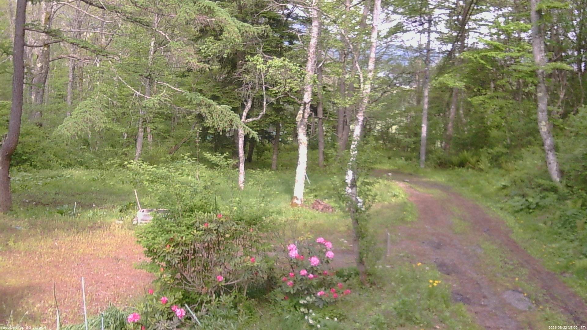 長野県菅平高原 ゆたか山荘 坂上 2026/05/22 15:00