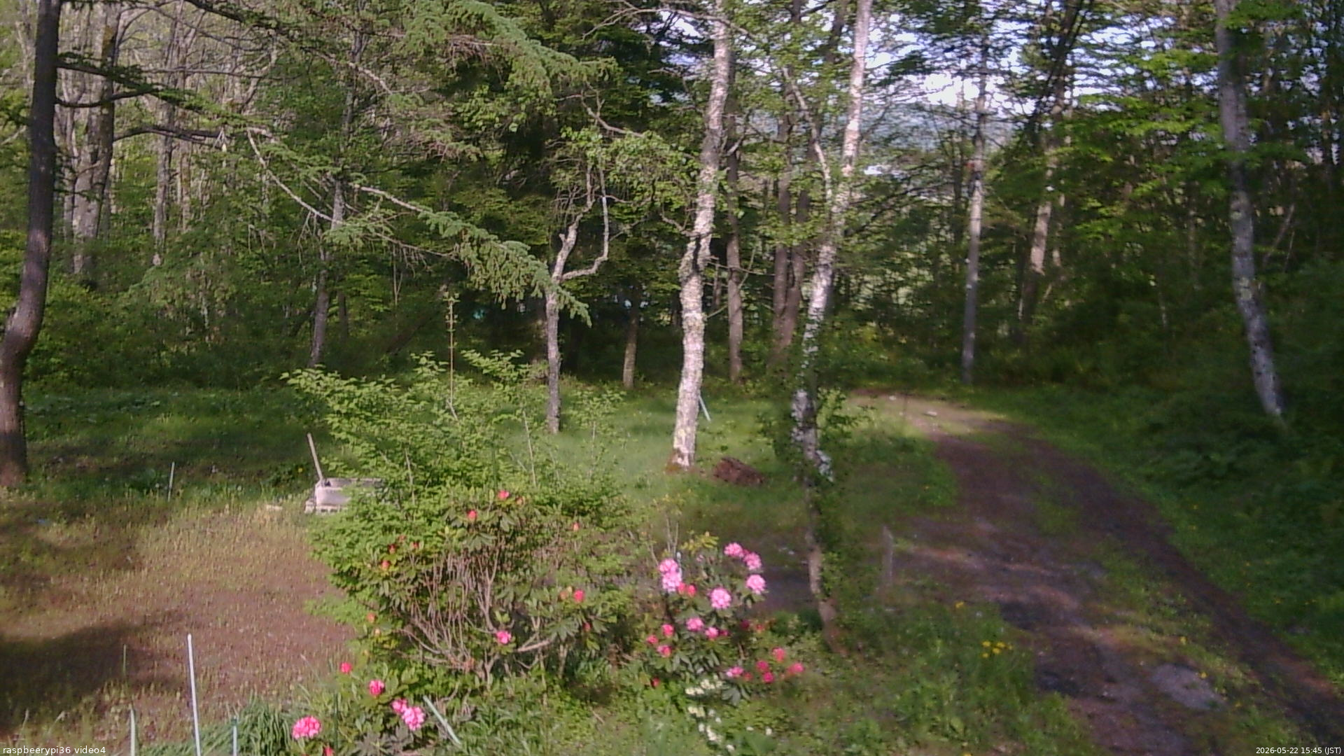長野県菅平高原 ゆたか山荘 坂上 2026/05/22 15:45