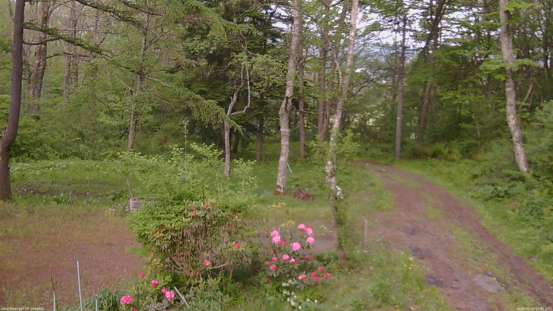 長野県菅平高原 ゆたか山荘 坂上 2026/05/22 17:15