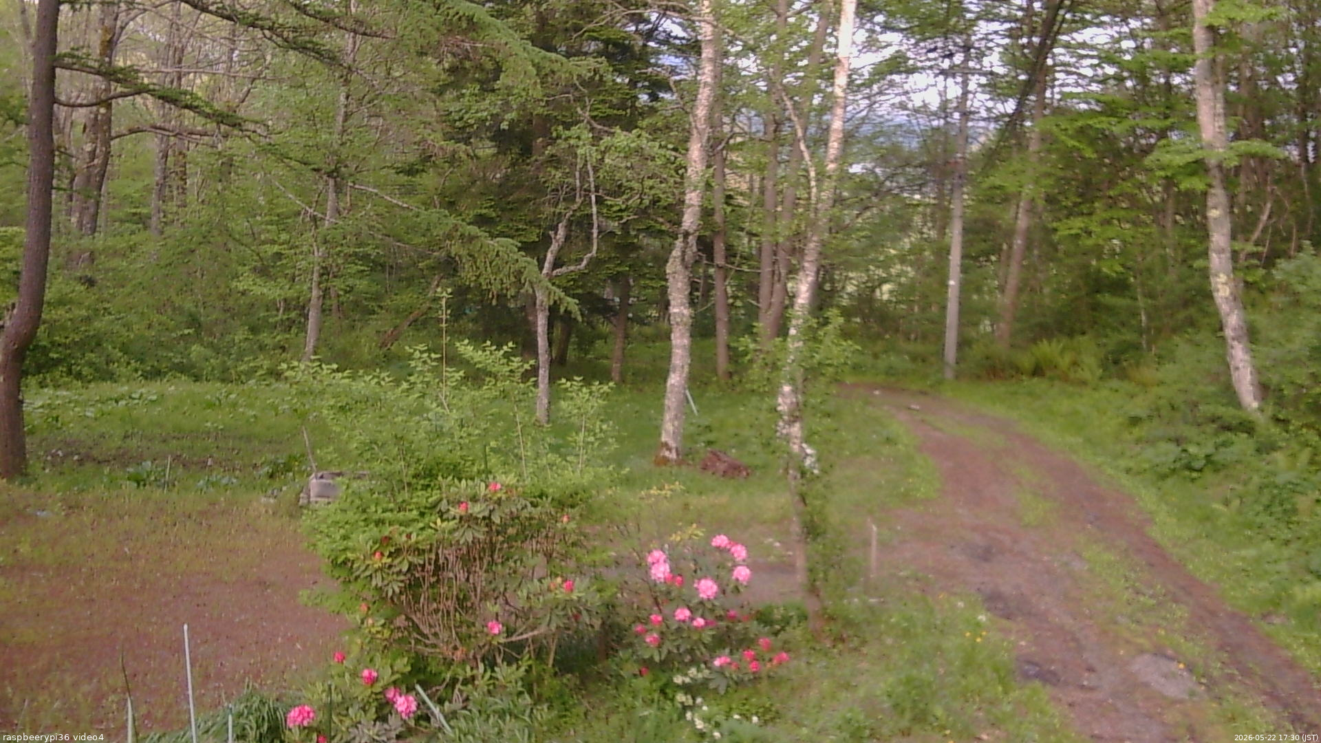 長野県菅平高原 ゆたか山荘 坂上 2026/05/22 17:30