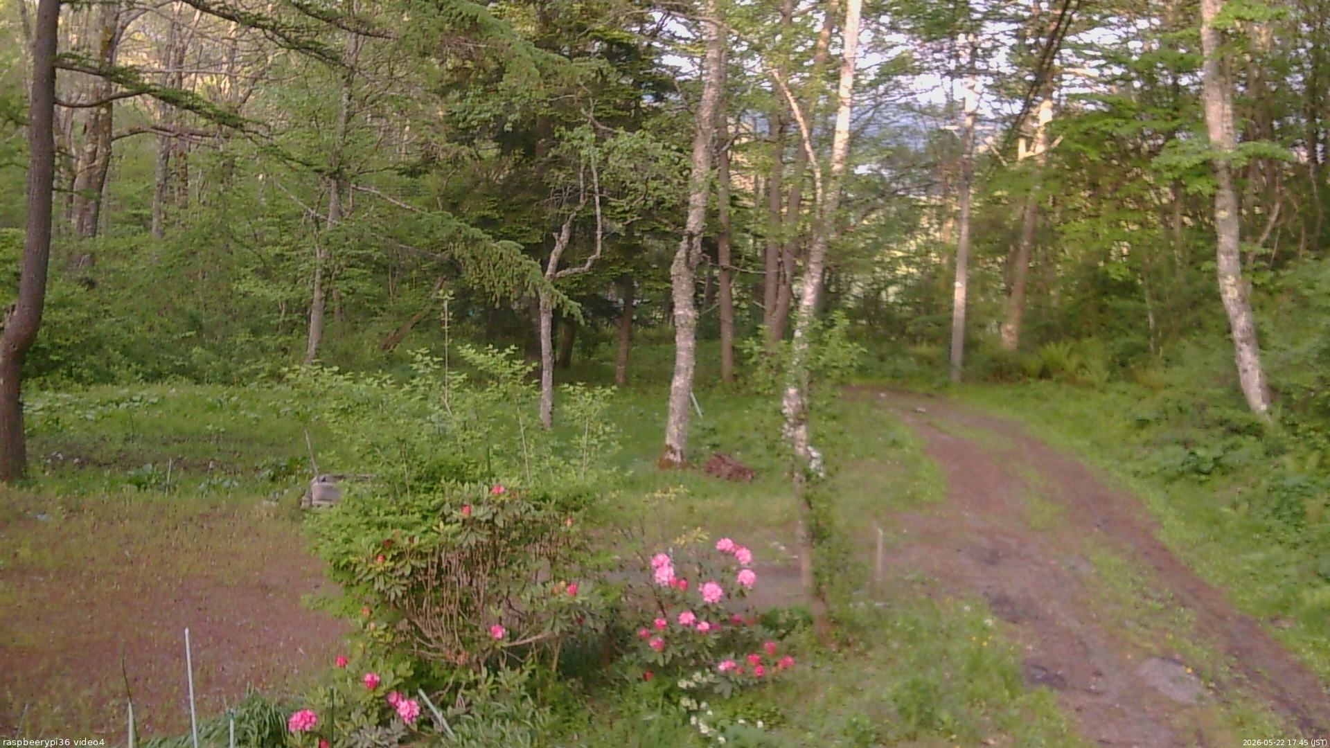長野県菅平高原 ゆたか山荘 坂上 2026/05/22 17:45
