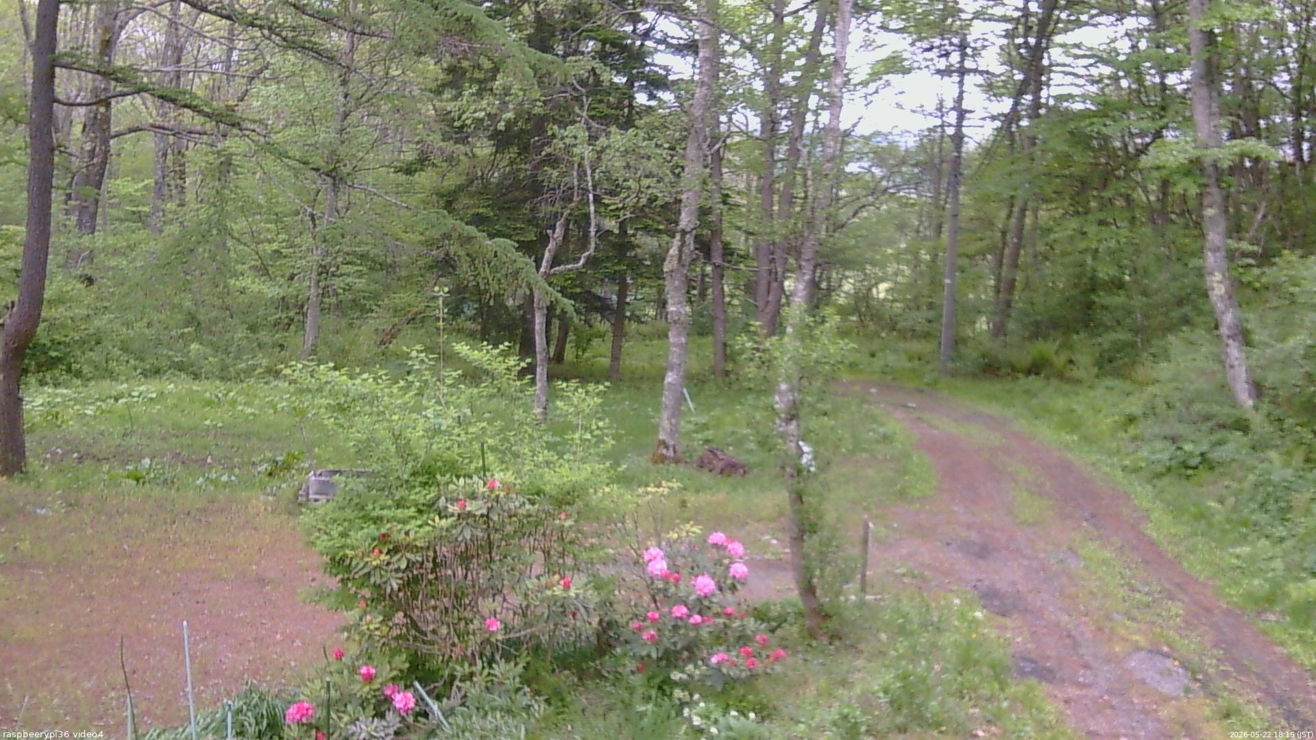 長野県菅平高原 ゆたか山荘 坂上 2026/05/22 18:15