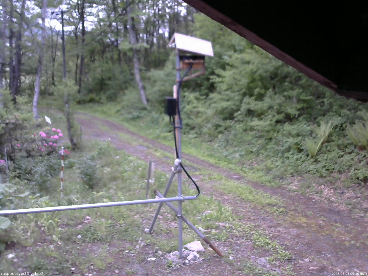 長野県菅平高原 ゆたか山荘 南側 2026/05/23 05:30