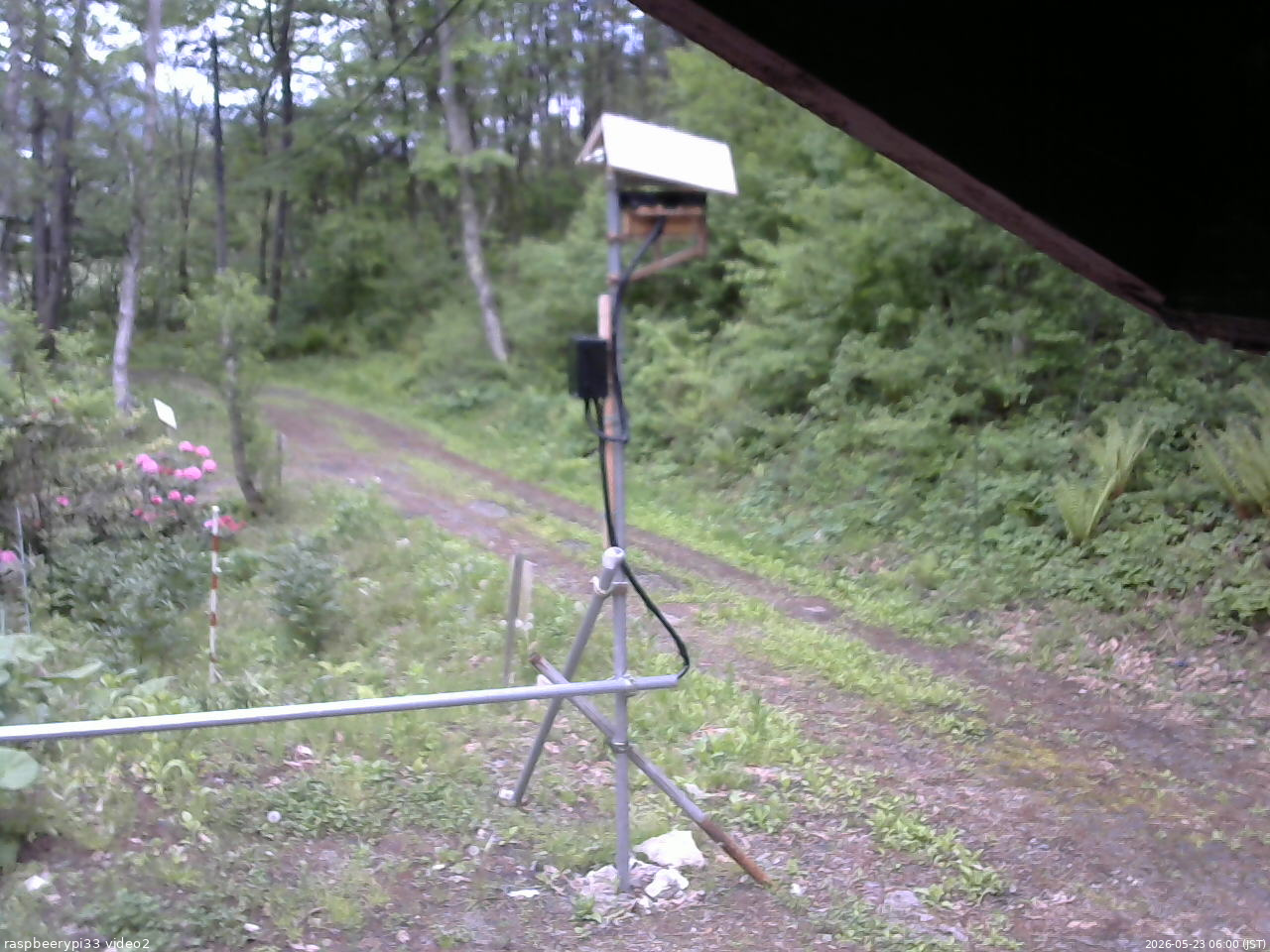 長野県菅平高原 ゆたか山荘 南側 2026/05/23 06:00