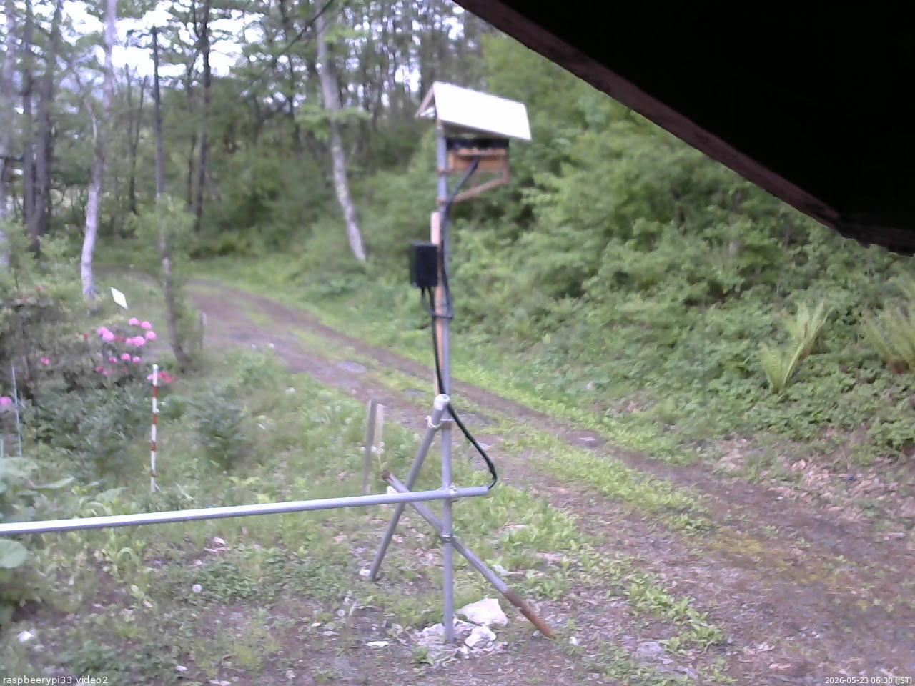 長野県菅平高原 ゆたか山荘 南側 2026/05/23 06:30