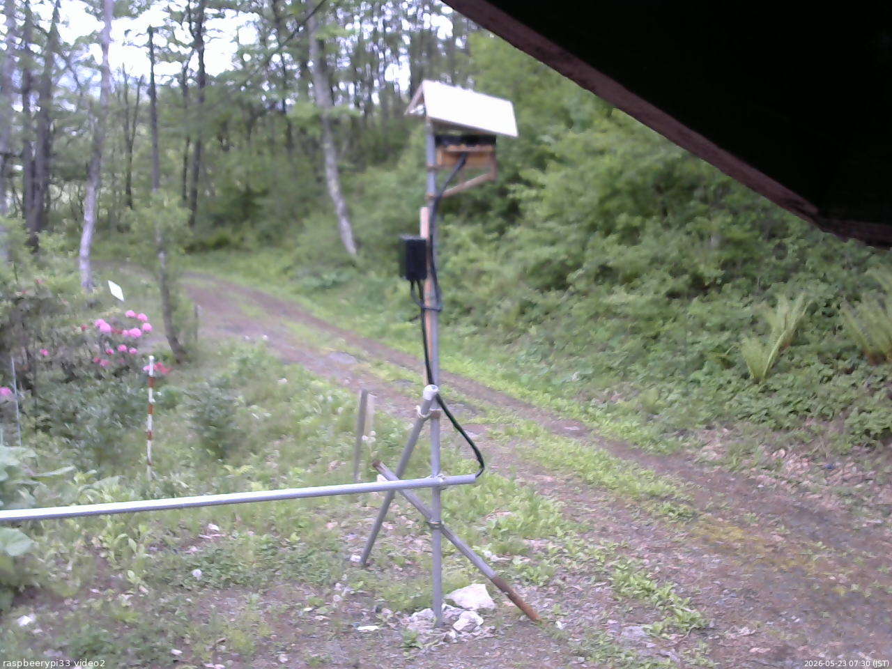 長野県菅平高原 ゆたか山荘 南側 2026/05/23 07:30