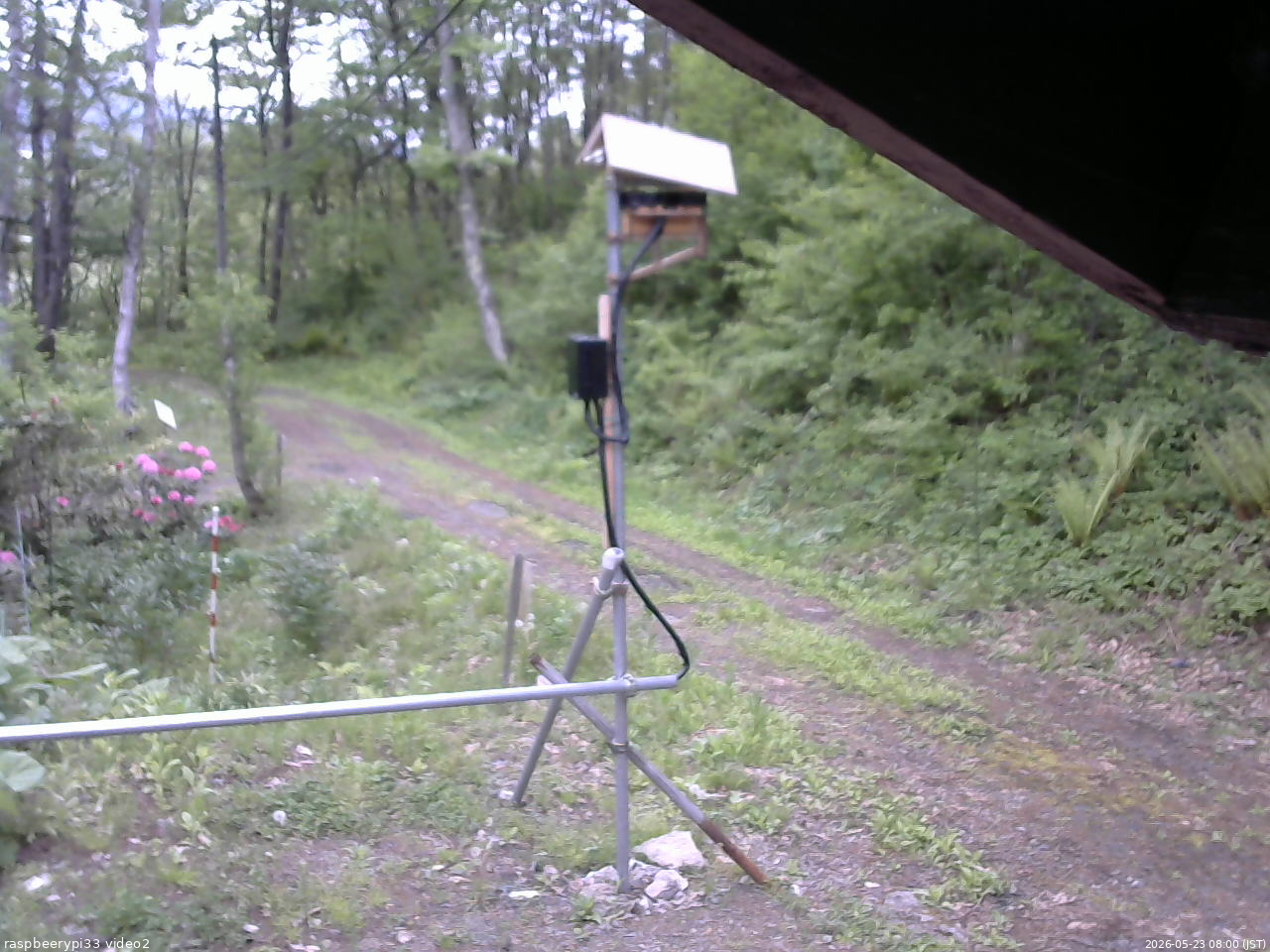 長野県菅平高原 ゆたか山荘 南側 2026/05/23 08:00