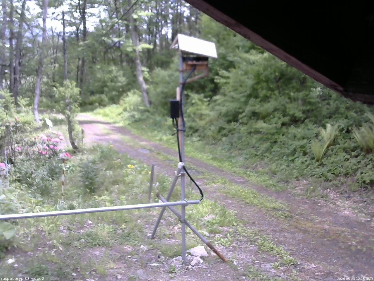長野県菅平高原 ゆたか山荘 南側 2026/05/23 12:15