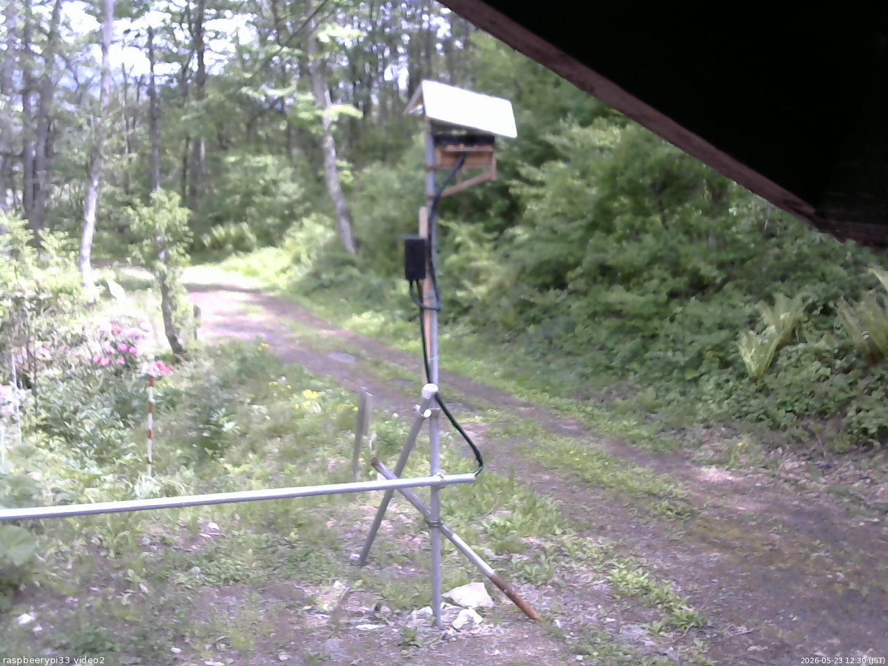 長野県菅平高原 ゆたか山荘 南側 2026/05/23 12:30