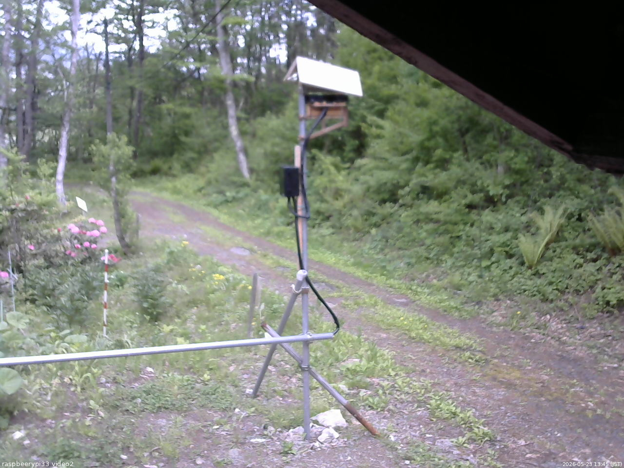 長野県菅平高原 ゆたか山荘 南側 2026/05/23 13:45