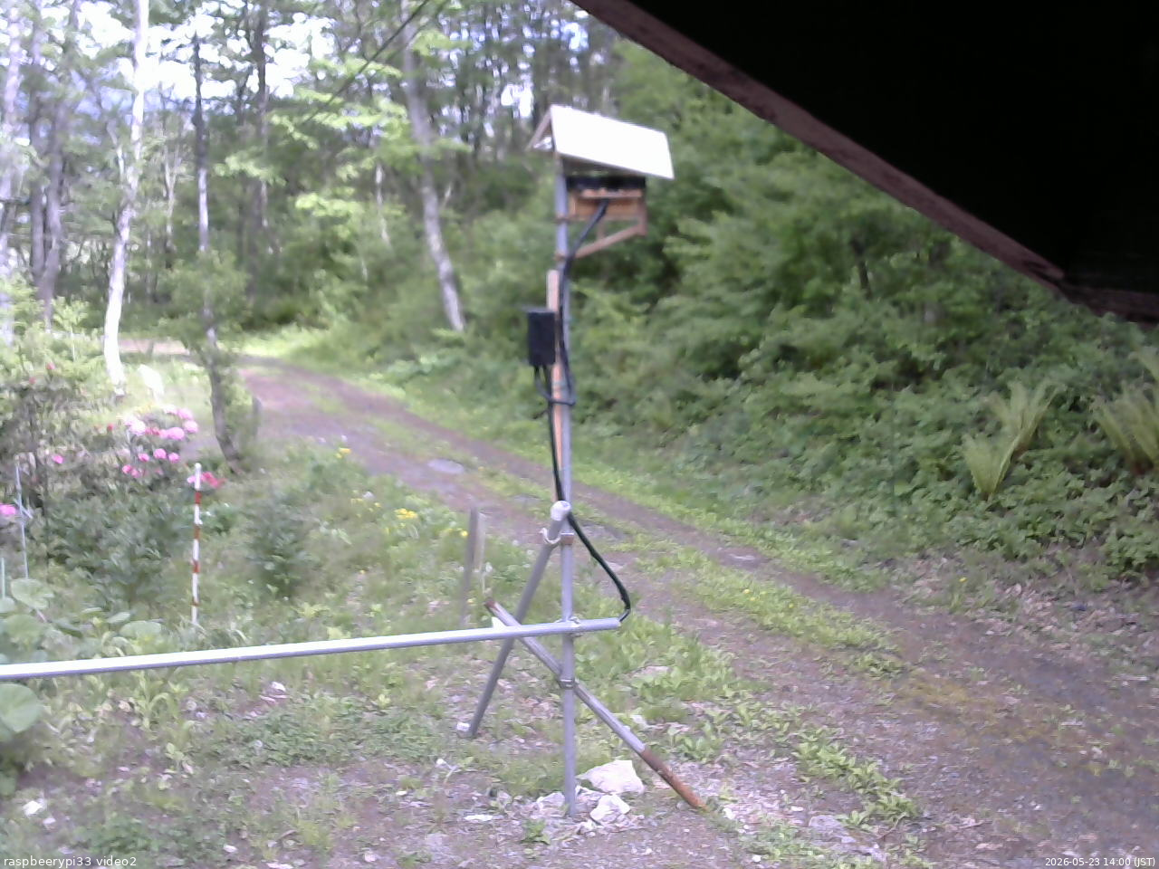 長野県菅平高原 ゆたか山荘 南側 2026/05/23 14:00