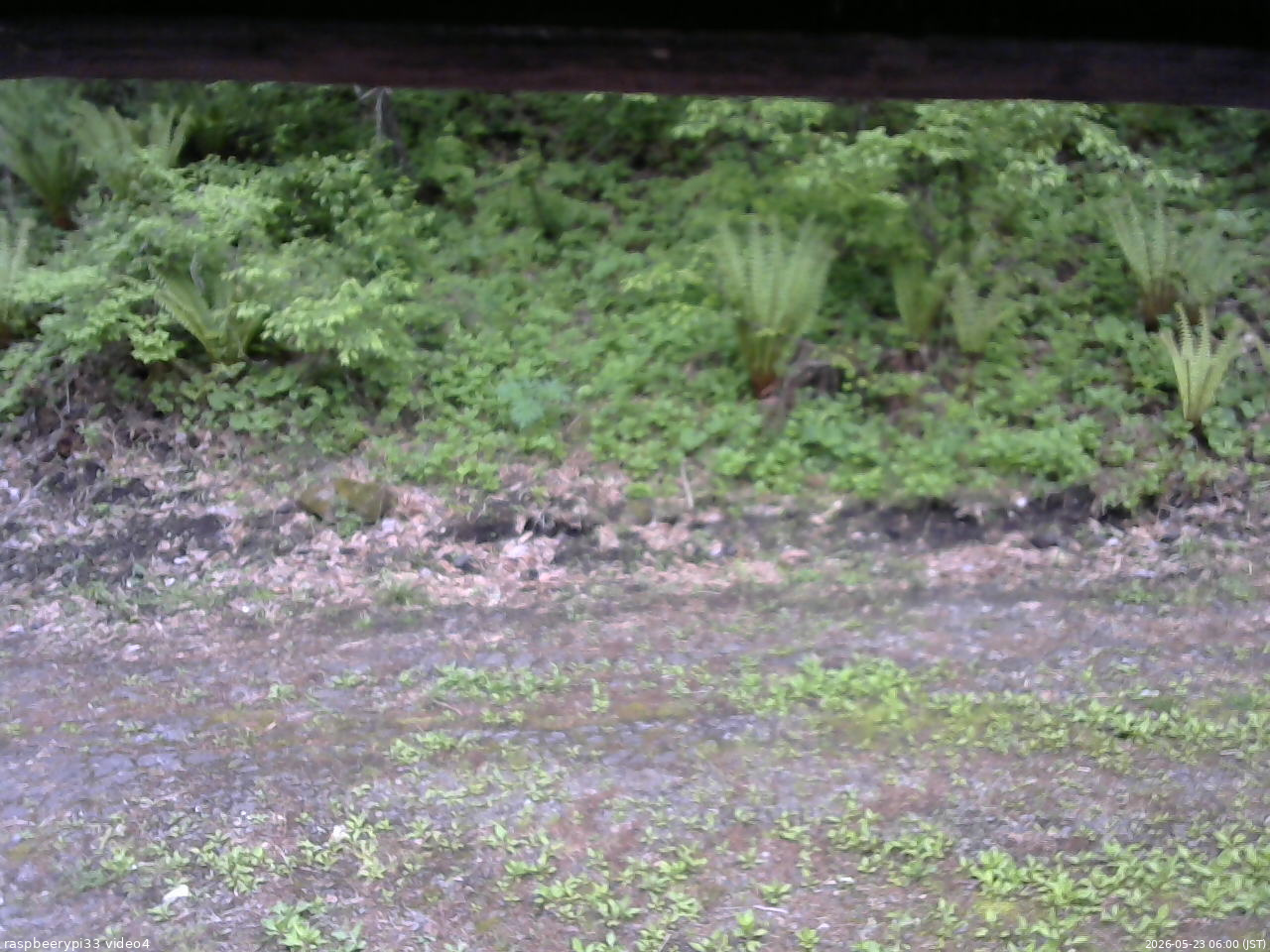 長野県菅平高原 ゆたか山荘 東側(坂下) 2026/05/23 06:00