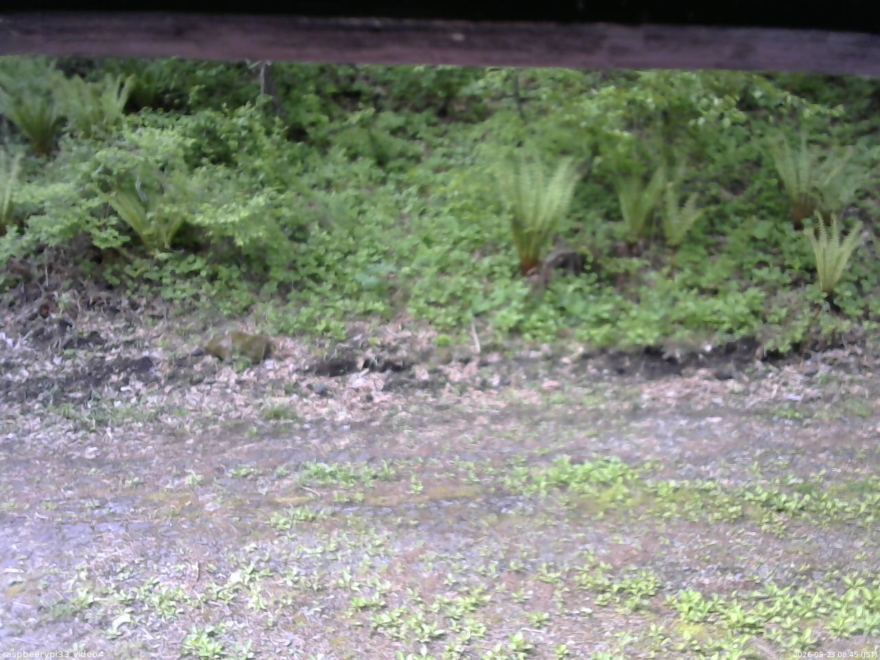 長野県菅平高原 ゆたか山荘 東側(坂下) 2026/05/23 08:45