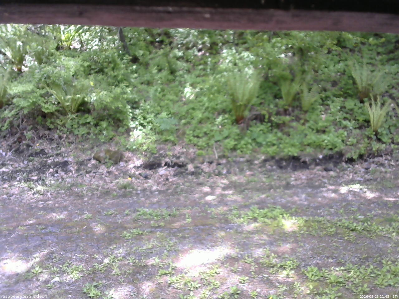 長野県菅平高原 ゆたか山荘 東側(坂下) 2026/05/23 11:45