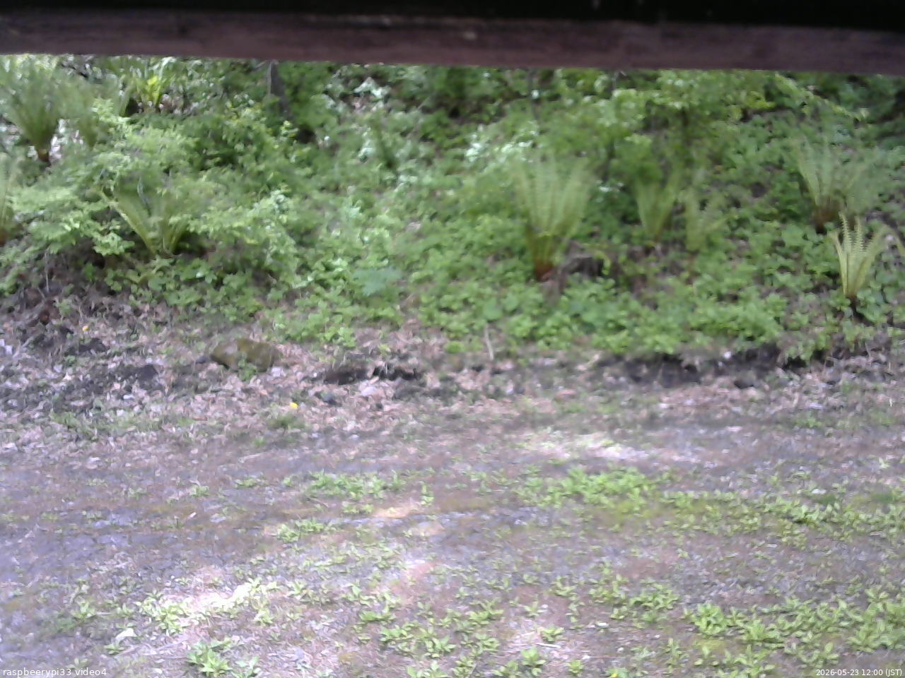 長野県菅平高原 ゆたか山荘 東側(坂下) 2026/05/23 12:00