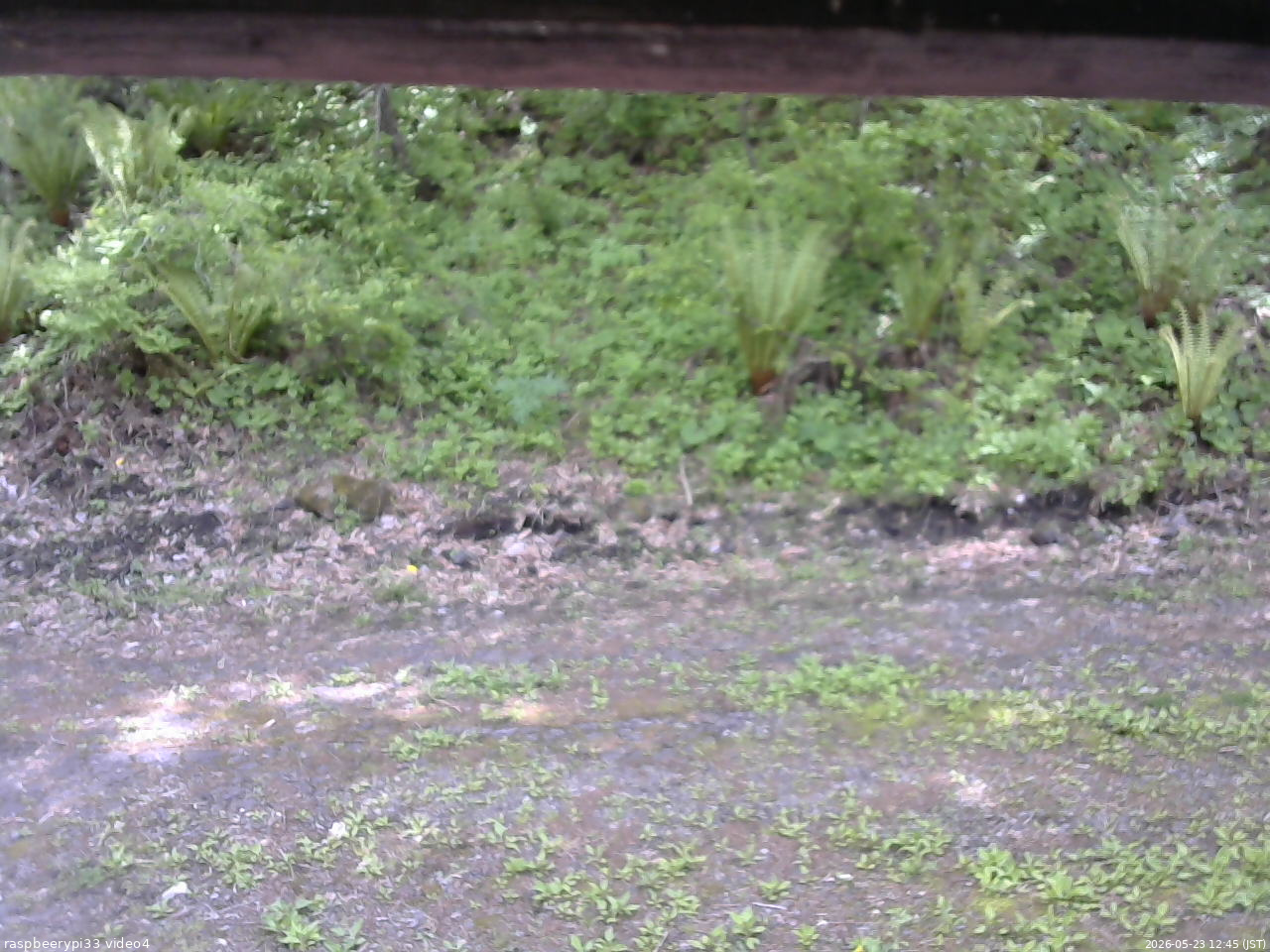 長野県菅平高原 ゆたか山荘 東側(坂下) 2026/05/23 12:45