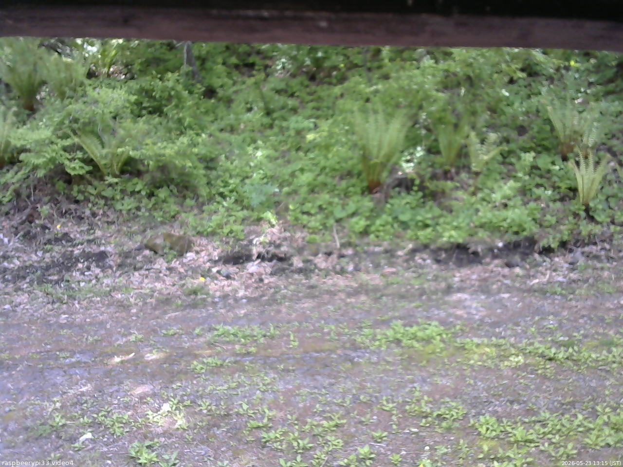 長野県菅平高原 ゆたか山荘 東側(坂下) 2026/05/23 13:15