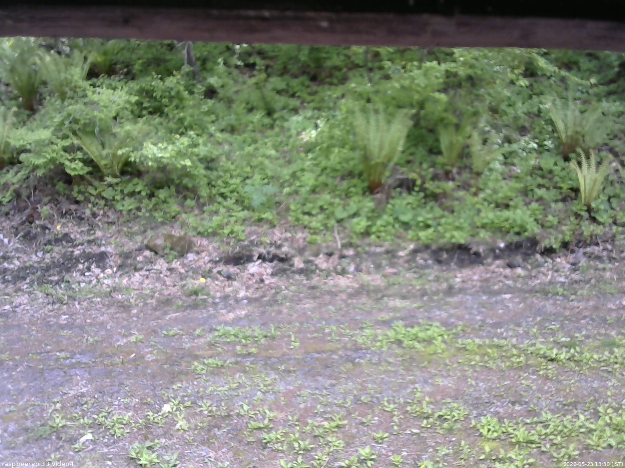 長野県菅平高原 ゆたか山荘 東側(坂下) 2026/05/23 13:30