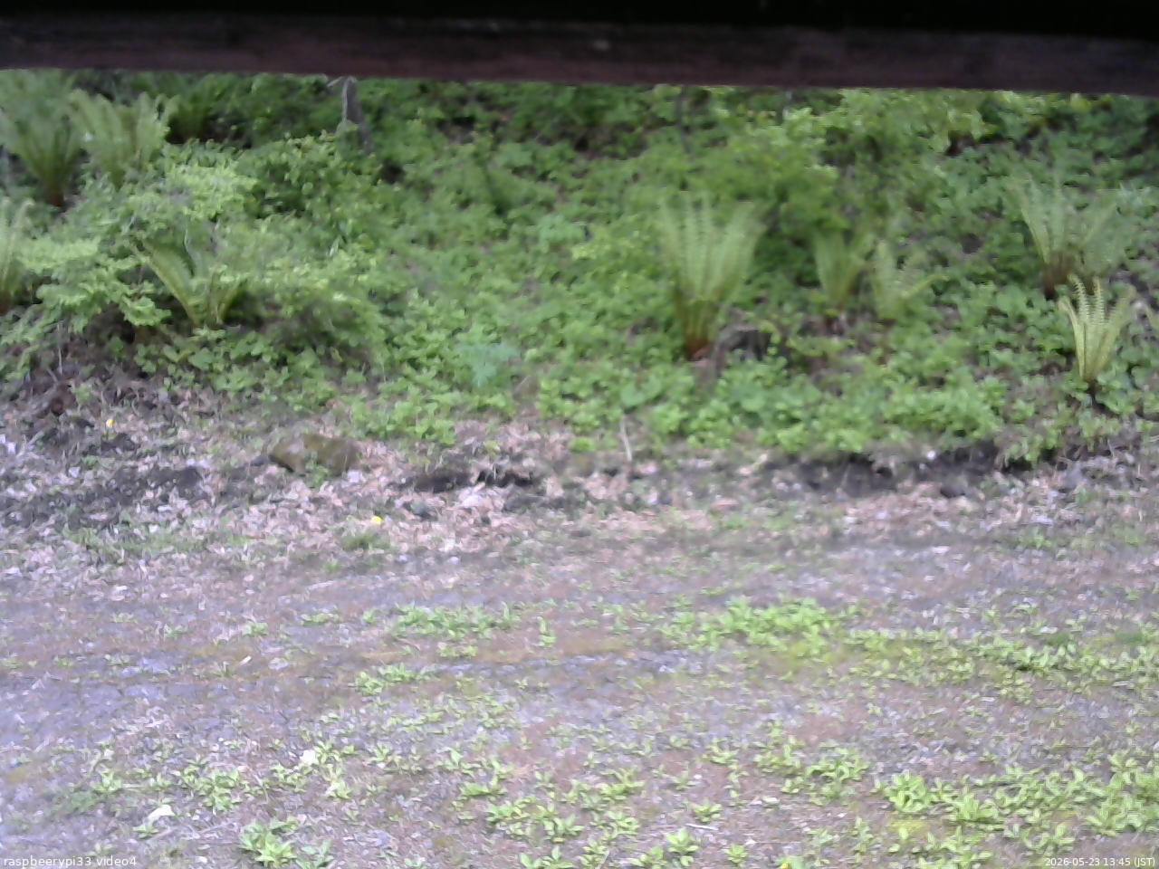 長野県菅平高原 ゆたか山荘 東側(坂下) 2026/05/23 13:45