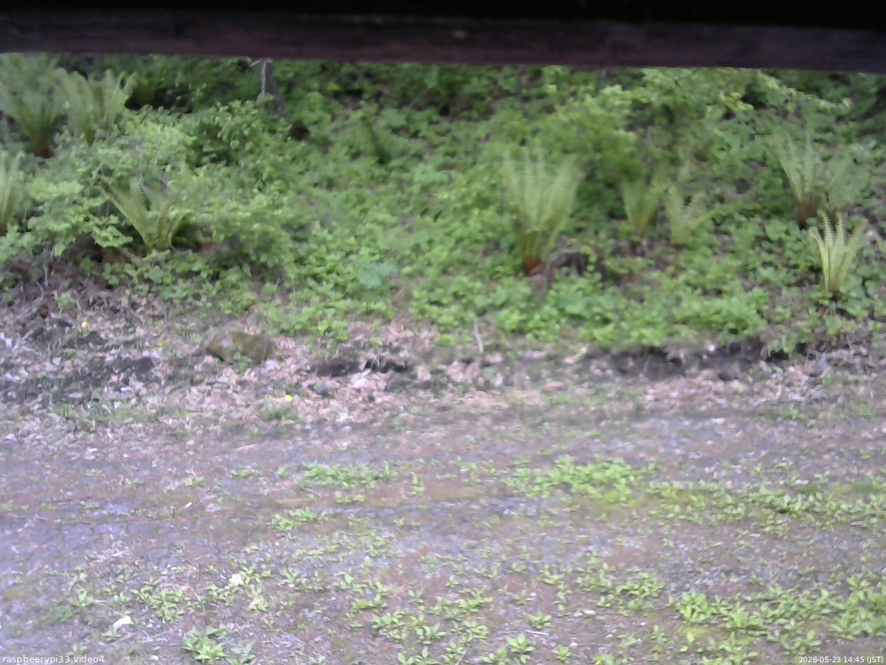 長野県菅平高原 ゆたか山荘 東側(坂下) 2026/05/23 14:45