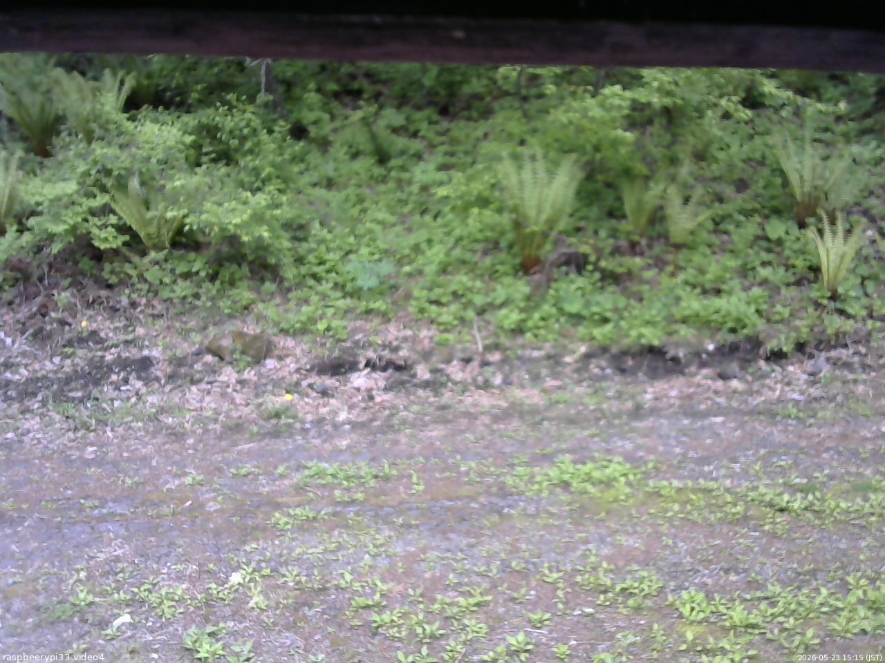 長野県菅平高原 ゆたか山荘 東側(坂下) 2026/05/23 15:15