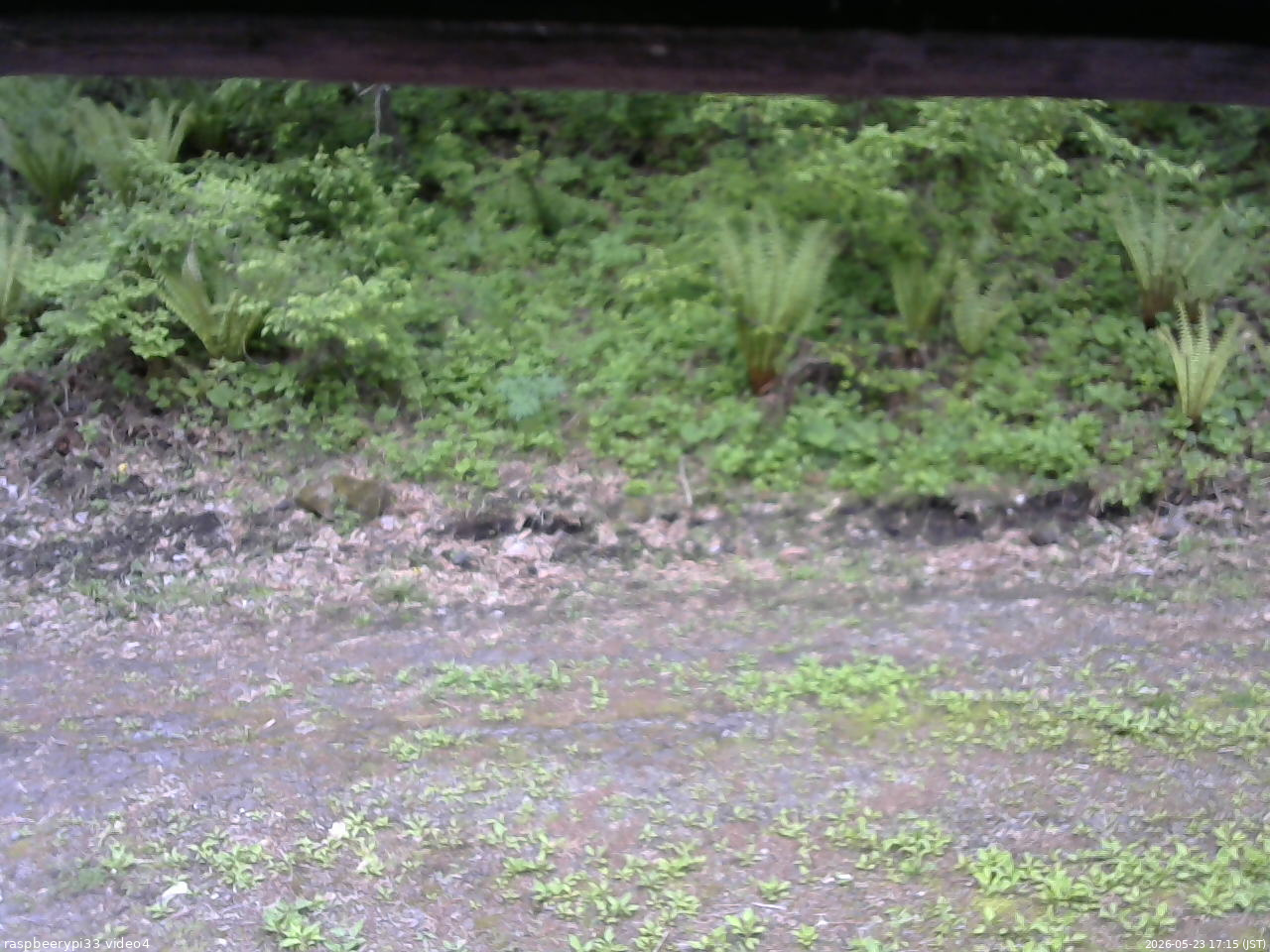 長野県菅平高原 ゆたか山荘 東側(坂下) 2026/05/23 17:15
