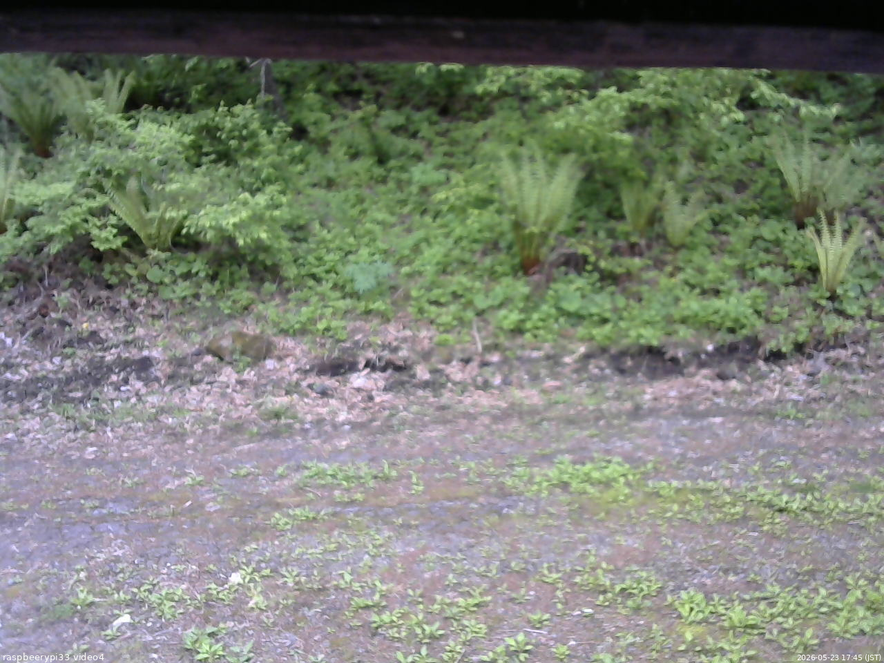 長野県菅平高原 ゆたか山荘 東側(坂下) 2026/05/23 17:45
