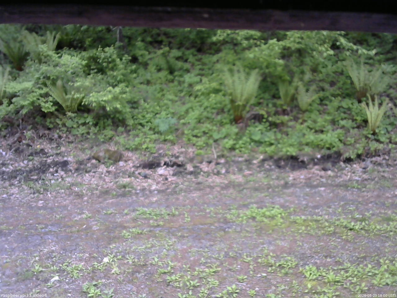 長野県菅平高原 ゆたか山荘 東側(坂下) 2026/05/23 18:00